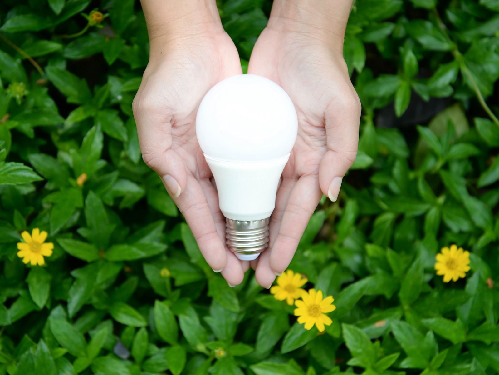 Skift til LED-pærer: Den energieffektive løsning med langvarige fordele